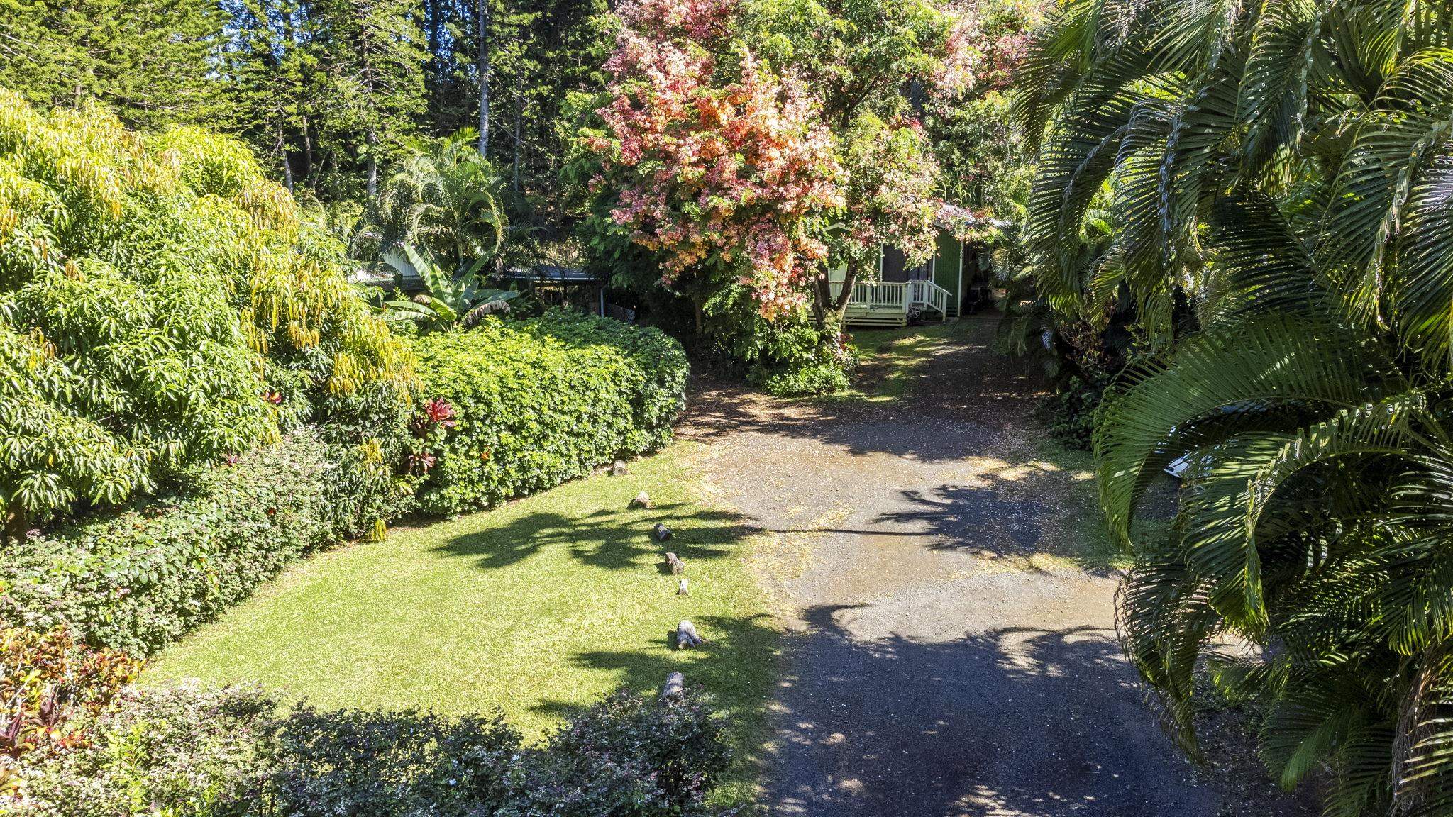 998 Kauhikoa Road, Unit 4 Haiku, HI 96708 - Photo 40 of 40