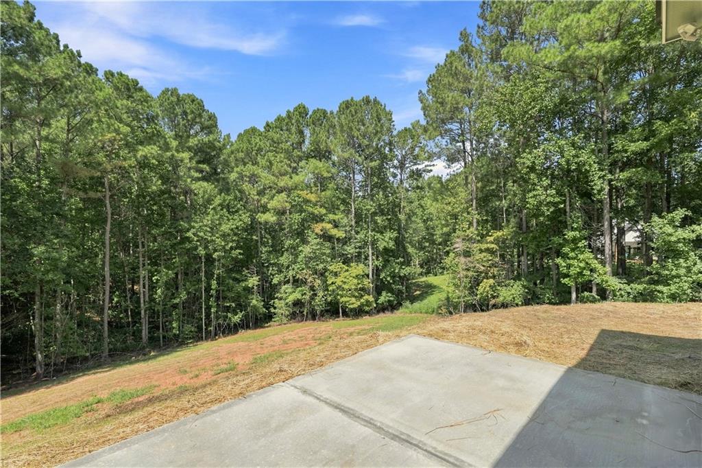 381 Bethel Road Talking Rock, GA 30175 - Photo 50 of 62 Gallery Image 50