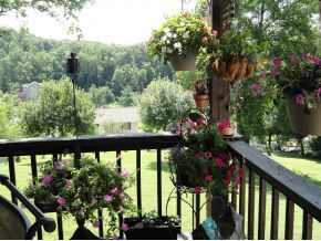 204 Eastern Star Road Kingsport, TN 37663 - Photo 6 of 24 Photo 6