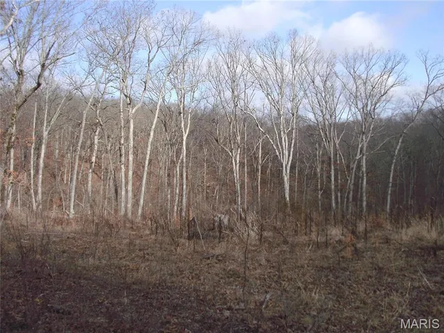 $105,500 | 26920 Jackson, Warrenton, MO 63383