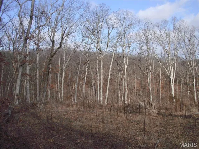 $105,500 | 26920 Jackson, Warrenton, MO 63383