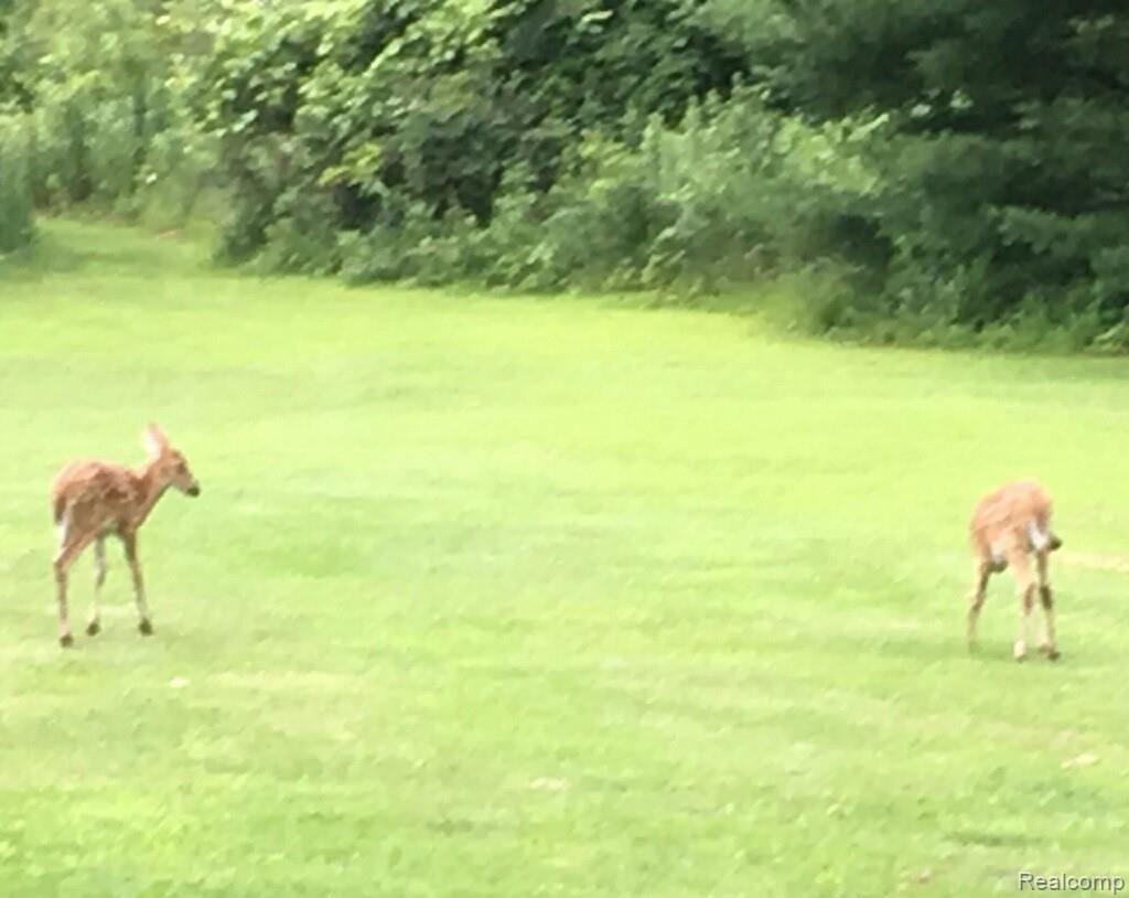 10939 Byron Road Fowlerville, MI 48836 - Photo 26 of 27 imagejpeg (1).jpg