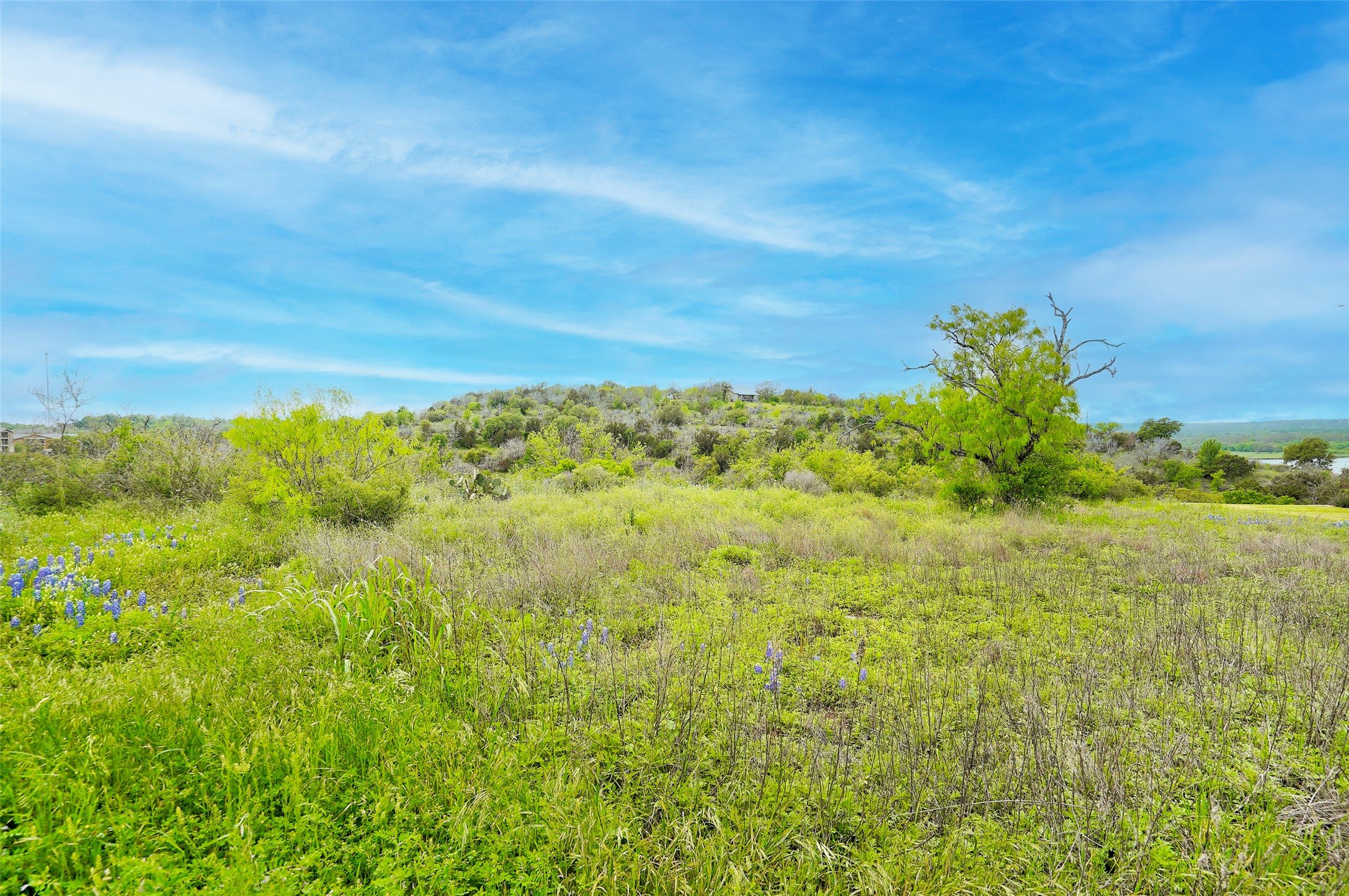513 Pantera Circle Marble Falls, TX 78654 - Photo 7 of 21 View of local wilderness