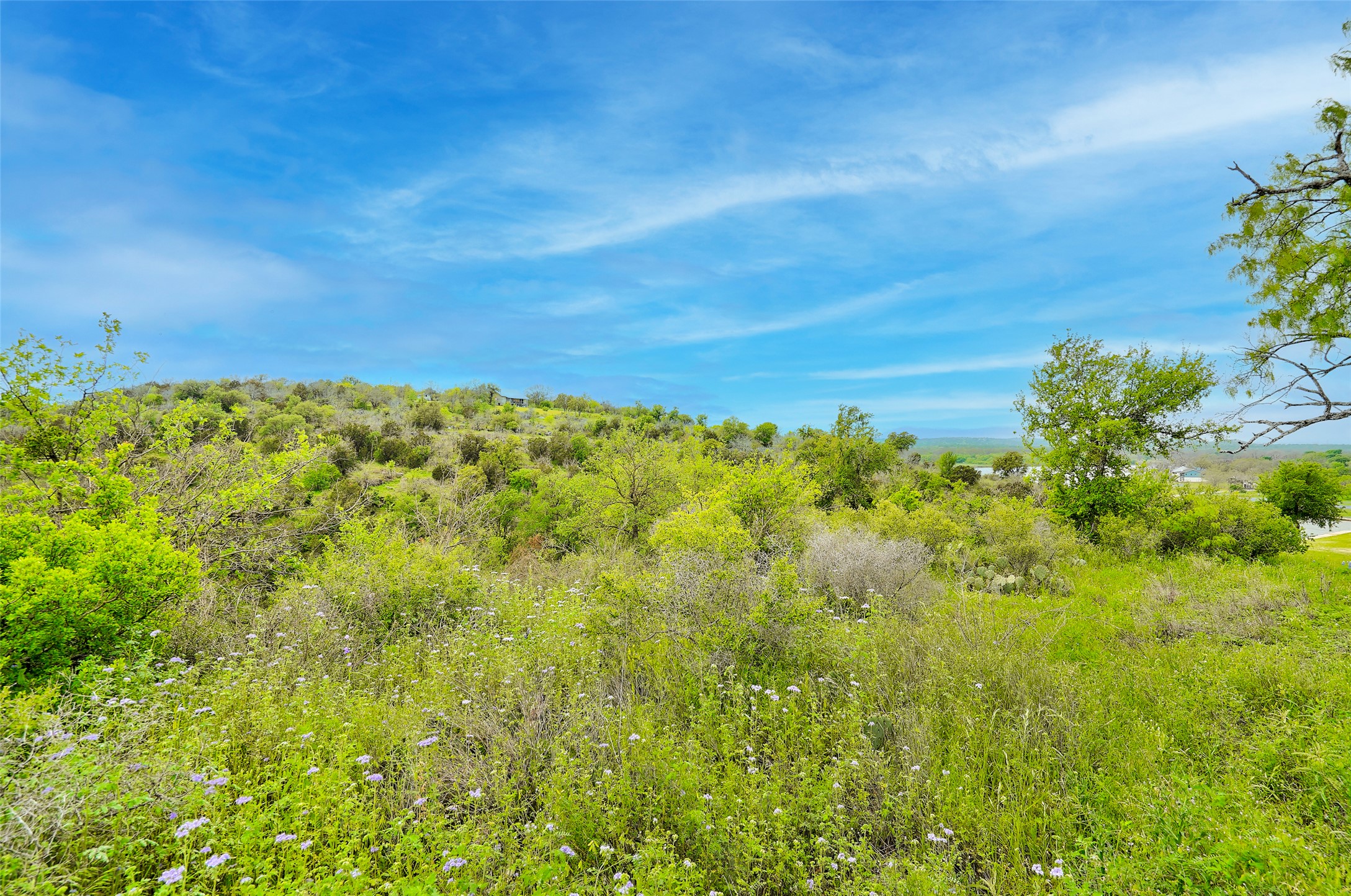 513 Pantera Circle Marble Falls, TX 78654 - Photo 8 of 21 View of local wilderness