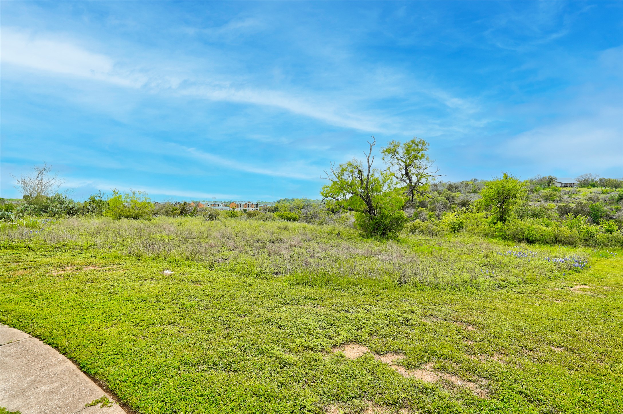 513 Pantera Circle Marble Falls, TX 78654 - Photo 9 of 21 View of yard