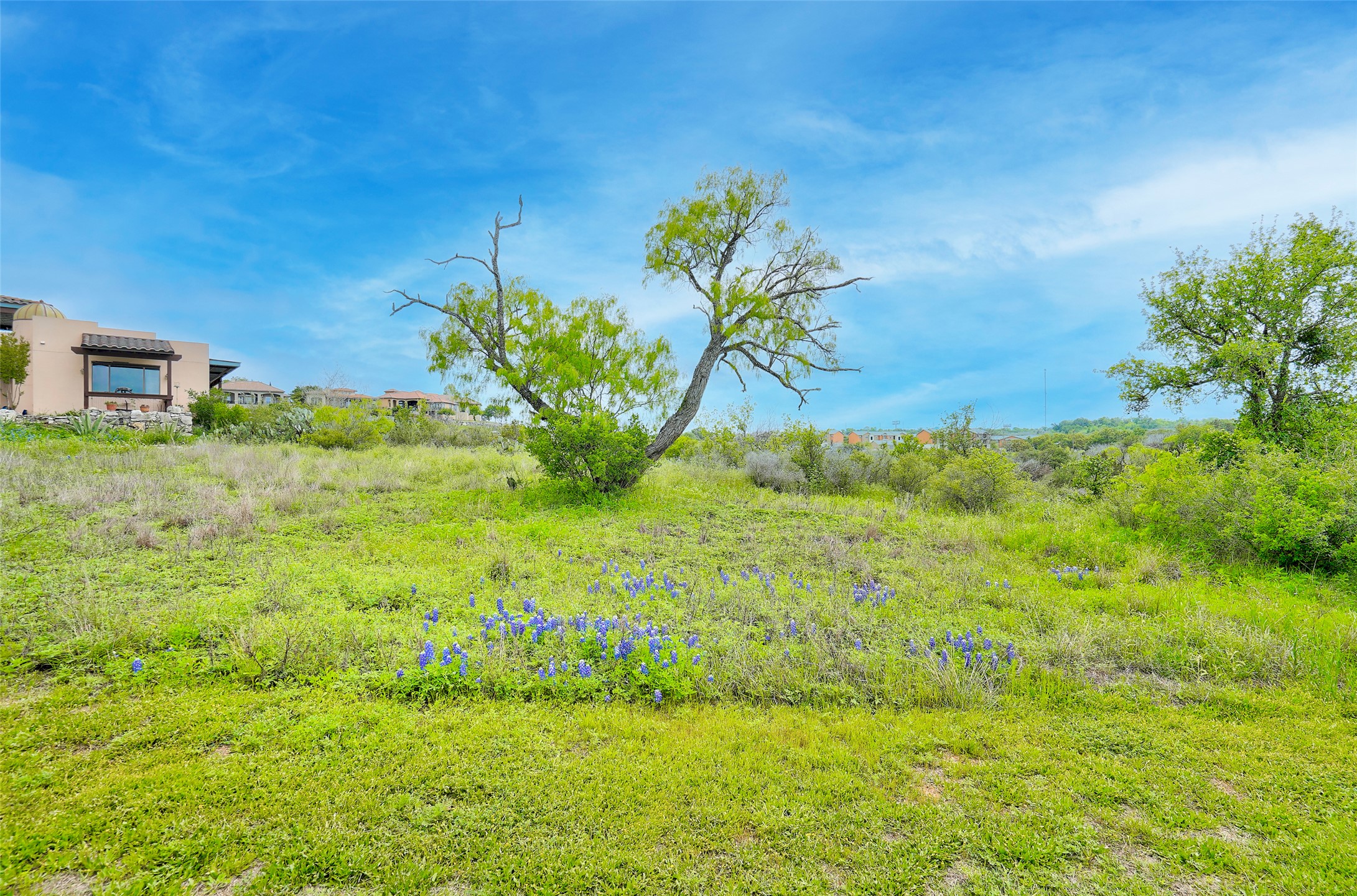 513 Pantera Circle Marble Falls, TX 78654 - Photo 10 of 21