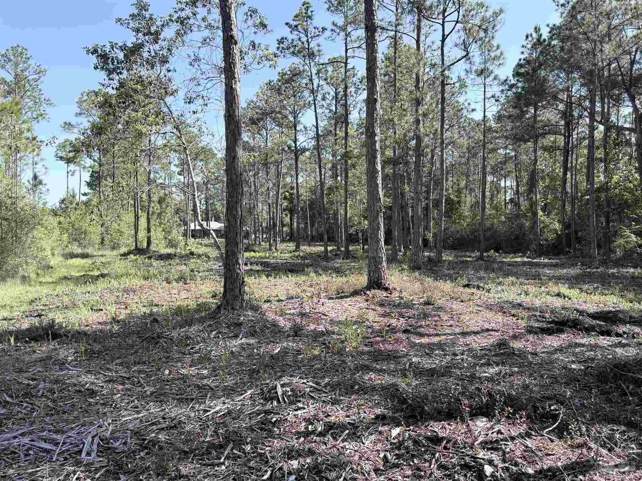 Del Monte Street Milton, FL 32583 - Photo 12 of 18
