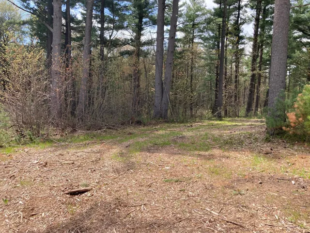 $66,930 | Lot 1 Surely Drive, Siren, WI 54872