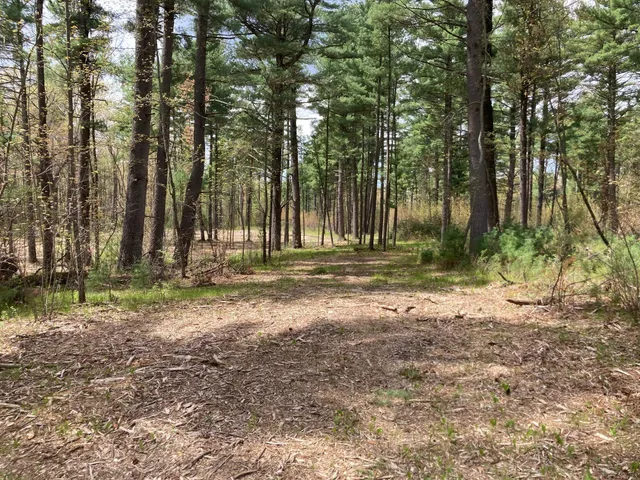 $66,930 | Lot 1 Surely Drive, Siren, WI 54872