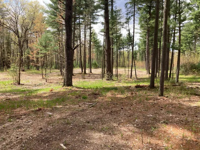 $66,930 | Lot 1 Surely Drive, Siren, WI 54872