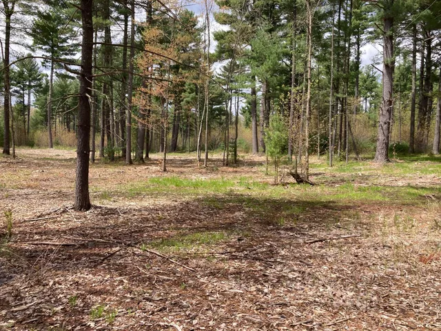 $66,930 | Lot 1 Surely Drive, Siren, WI 54872