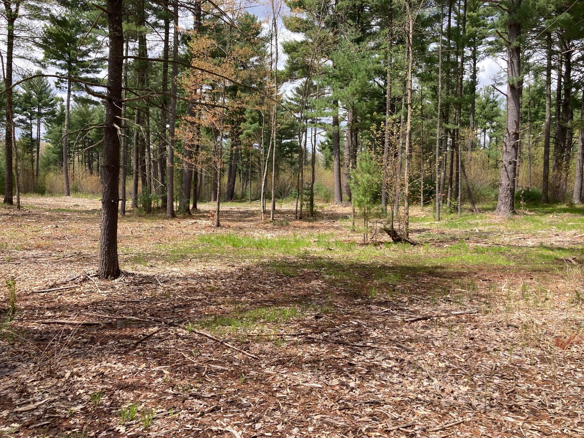 Lot 1 Surely Drive Siren, WI 54872 - Photo 17 of 29