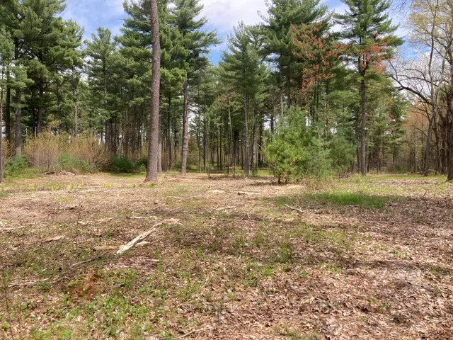 $66,930 | Lot 1 Surely Drive, Siren, WI 54872