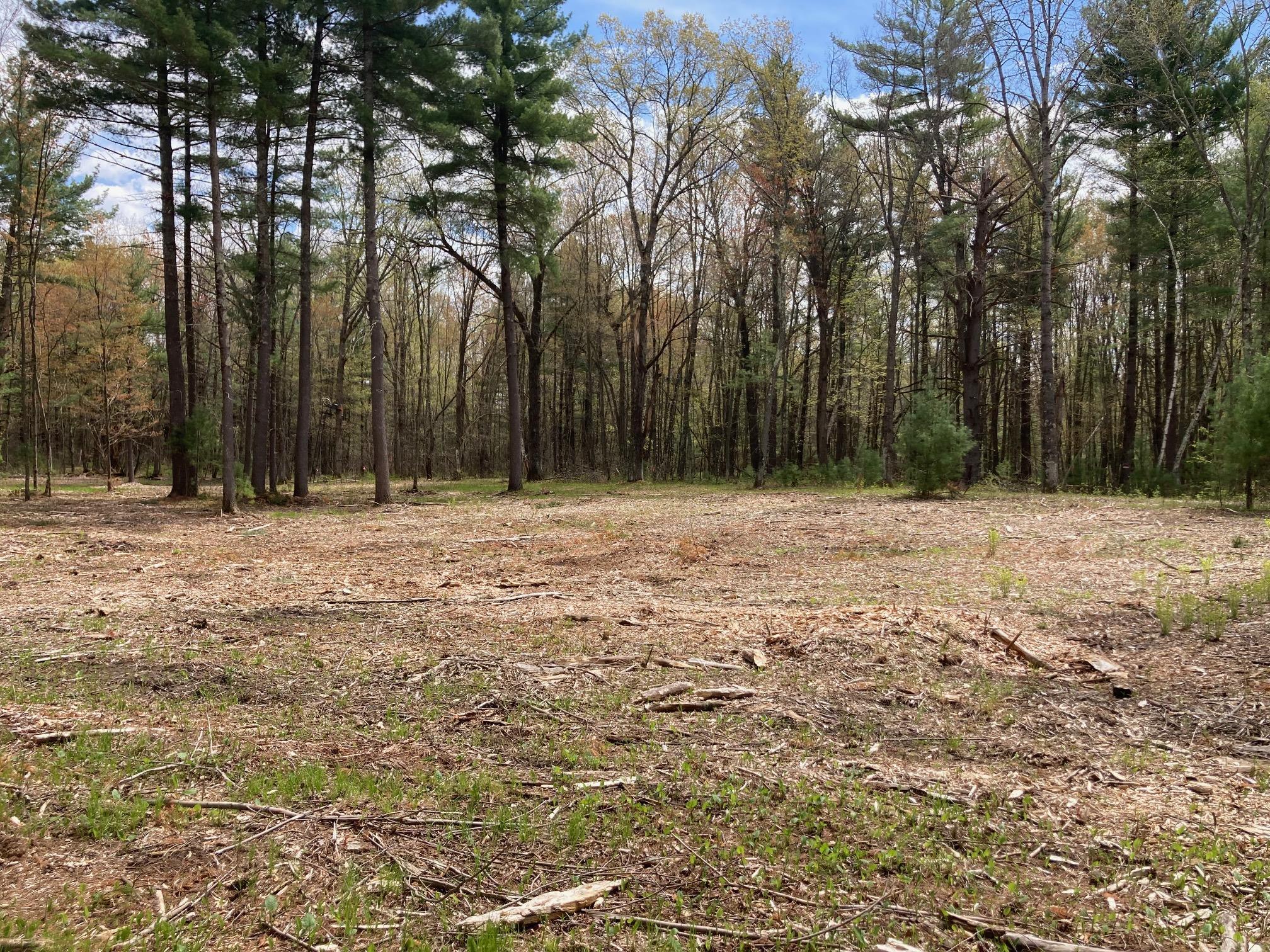 Lot 1 Surely Drive Siren, WI 54872 - Photo 20 of 29