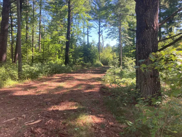 $66,930 | Lot 1 Surely Drive, Siren, WI 54872