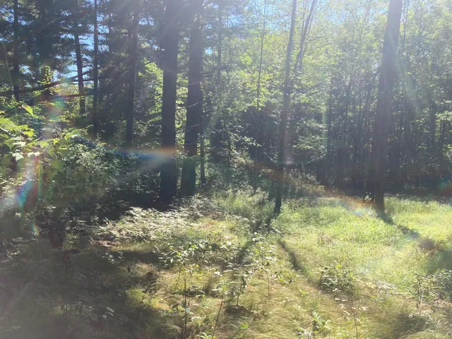 $66,930 | Lot 1 Surely Drive, Siren, WI 54872