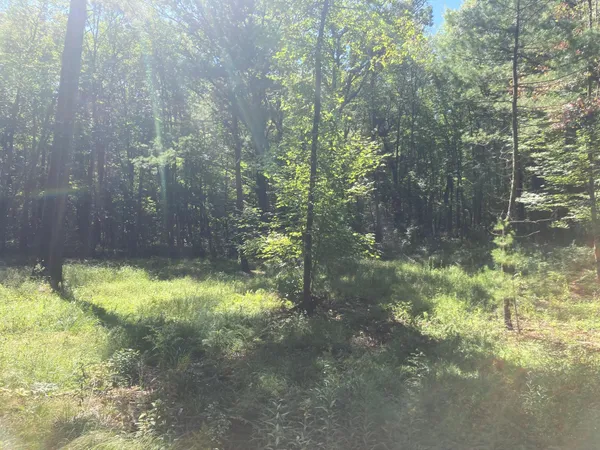 $66,930 | Lot 1 Surely Drive, Siren, WI 54872