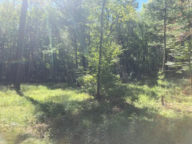 $66,930 | Lot 1 Surely Drive, Siren, WI 54872