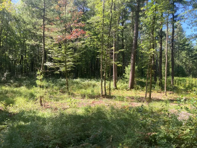 $66,930 | Lot 1 Surely Drive, Siren, WI 54872