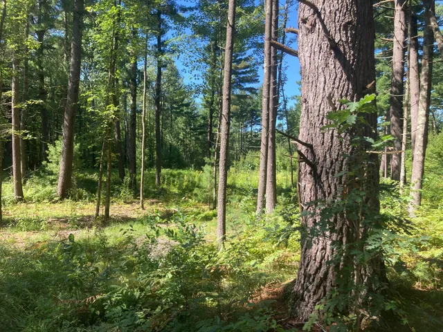 $66,930 | Lot 1 Surely Drive, Siren, WI 54872