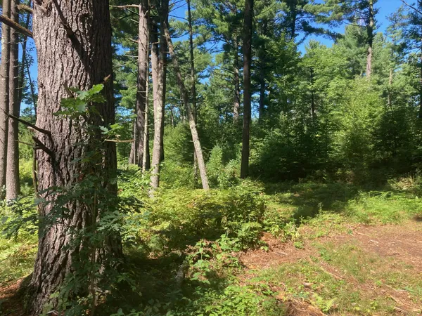 $66,930 | Lot 1 Surely Drive, Siren, WI 54872