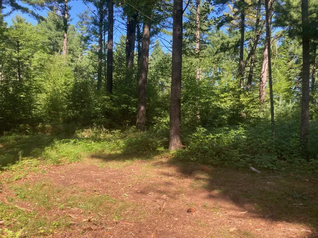 $66,930 | Lot 1 Surely Drive, Siren, WI 54872