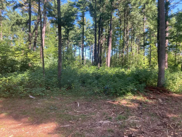 $66,930 | Lot 1 Surely Drive, Siren, WI 54872