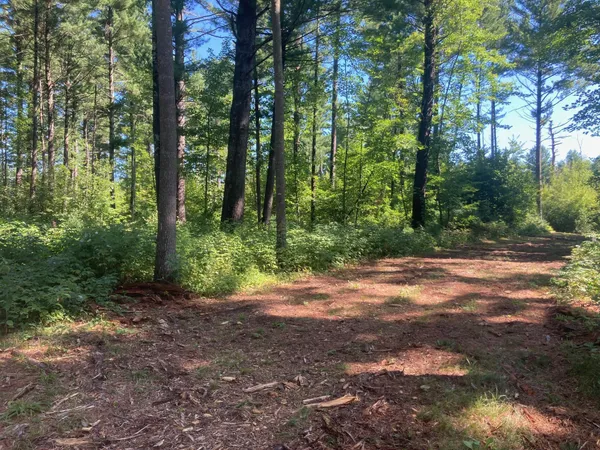 $66,930 | Lot 1 Surely Drive, Siren, WI 54872