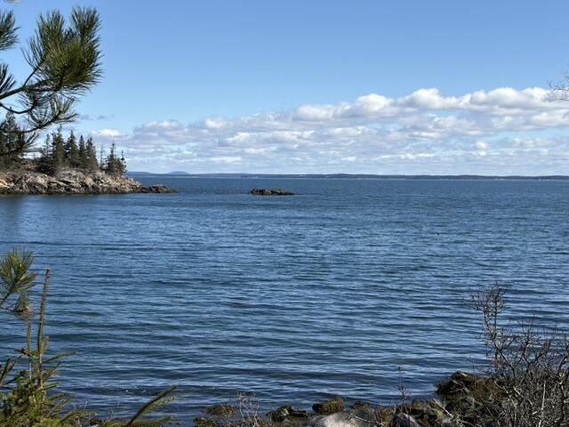 Lot 12-004 Coombs Neck Road Vinalhaven, ME 04863 - Photo 3 of 10
