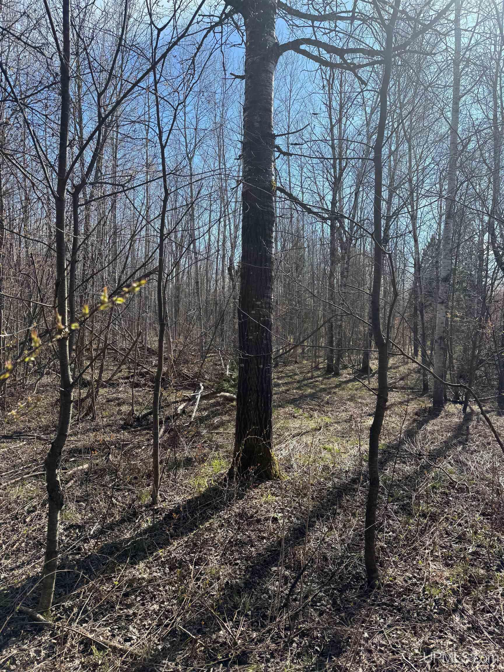 Tbd85 South Sidnaw Road Sidnaw, MI 49961 - Photo 17 of 22