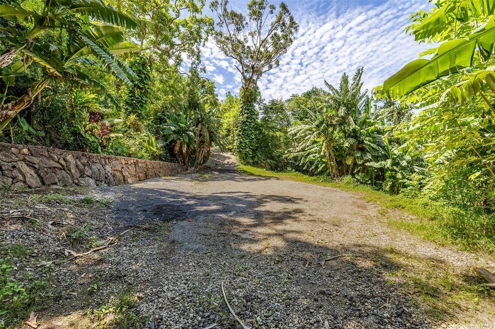 2640 Lai Road, Unit E Honolulu, HI 96816 - Photo 8 of 25 a view of a yard with plants and trees