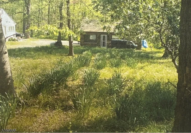 a backyard of a house with large trees and plants