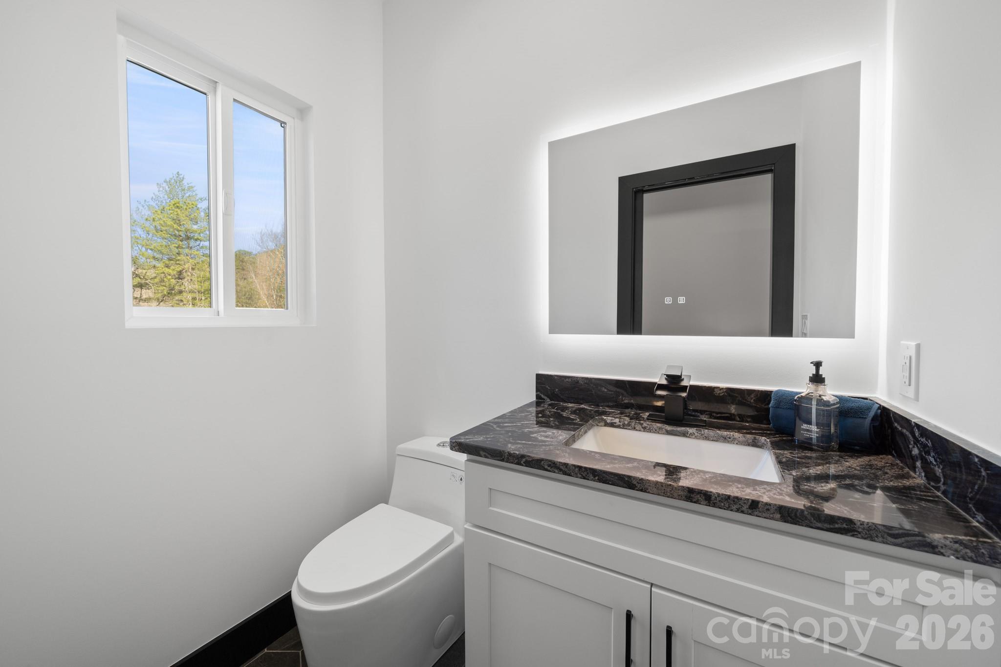 74 Jeranna Road Mills River, NC 28759 - Photo 48 of 48
