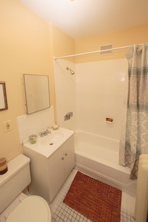 12 Bellvista Road, Unit 3 Boston, MA 02135 - Photo 8 of 8 Gallery Image 8