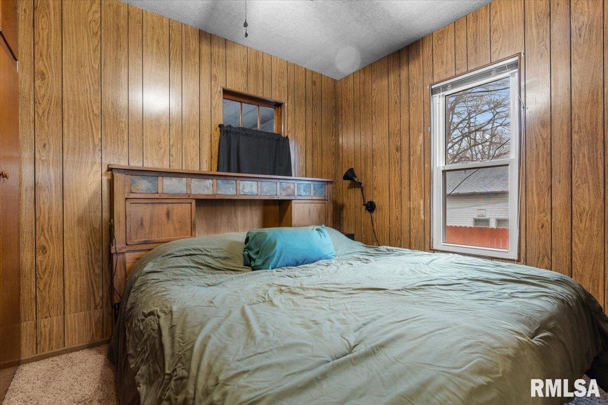 207 South Springfield Street Auburn, IL 62615 - Photo 15 of 25