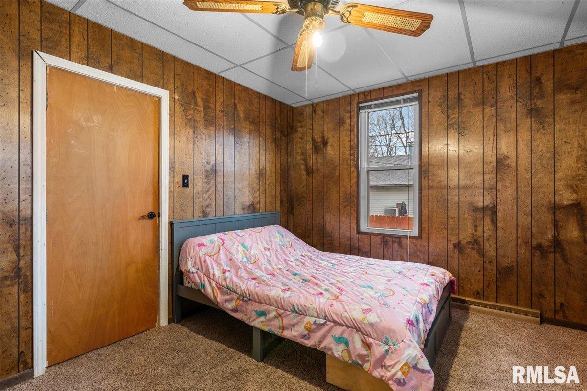 207 South Springfield Street Auburn, IL 62615 - Photo 19 of 25