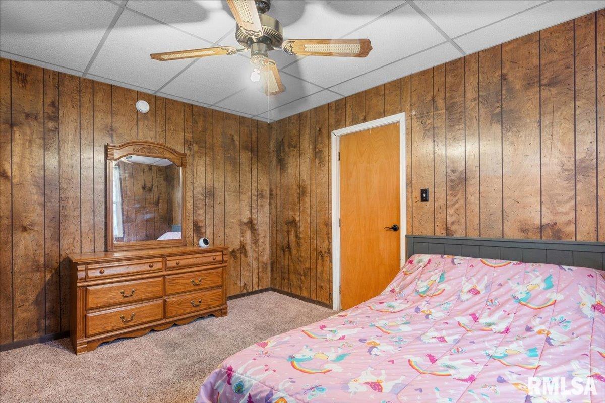 207 South Springfield Street Auburn, IL 62615 - Photo 20 of 25