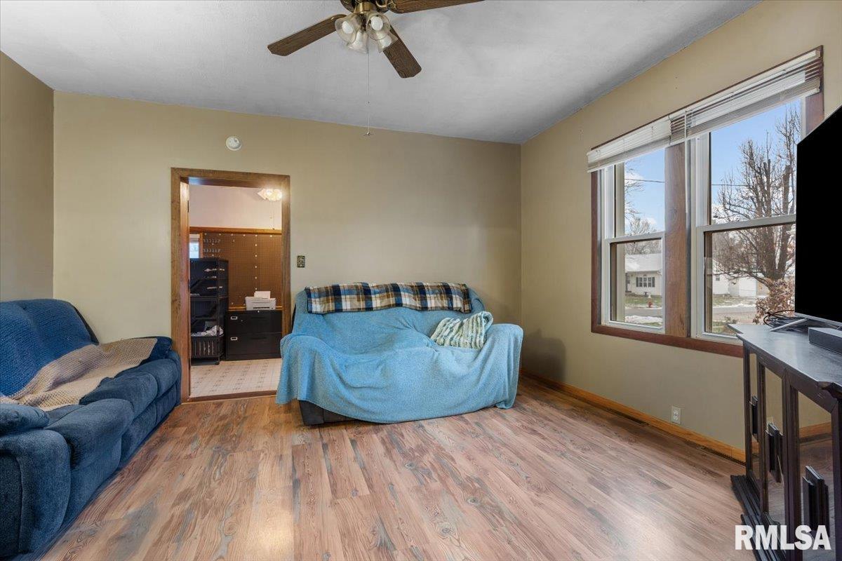 207 South Springfield Street Auburn, IL 62615 - Photo 6 of 25