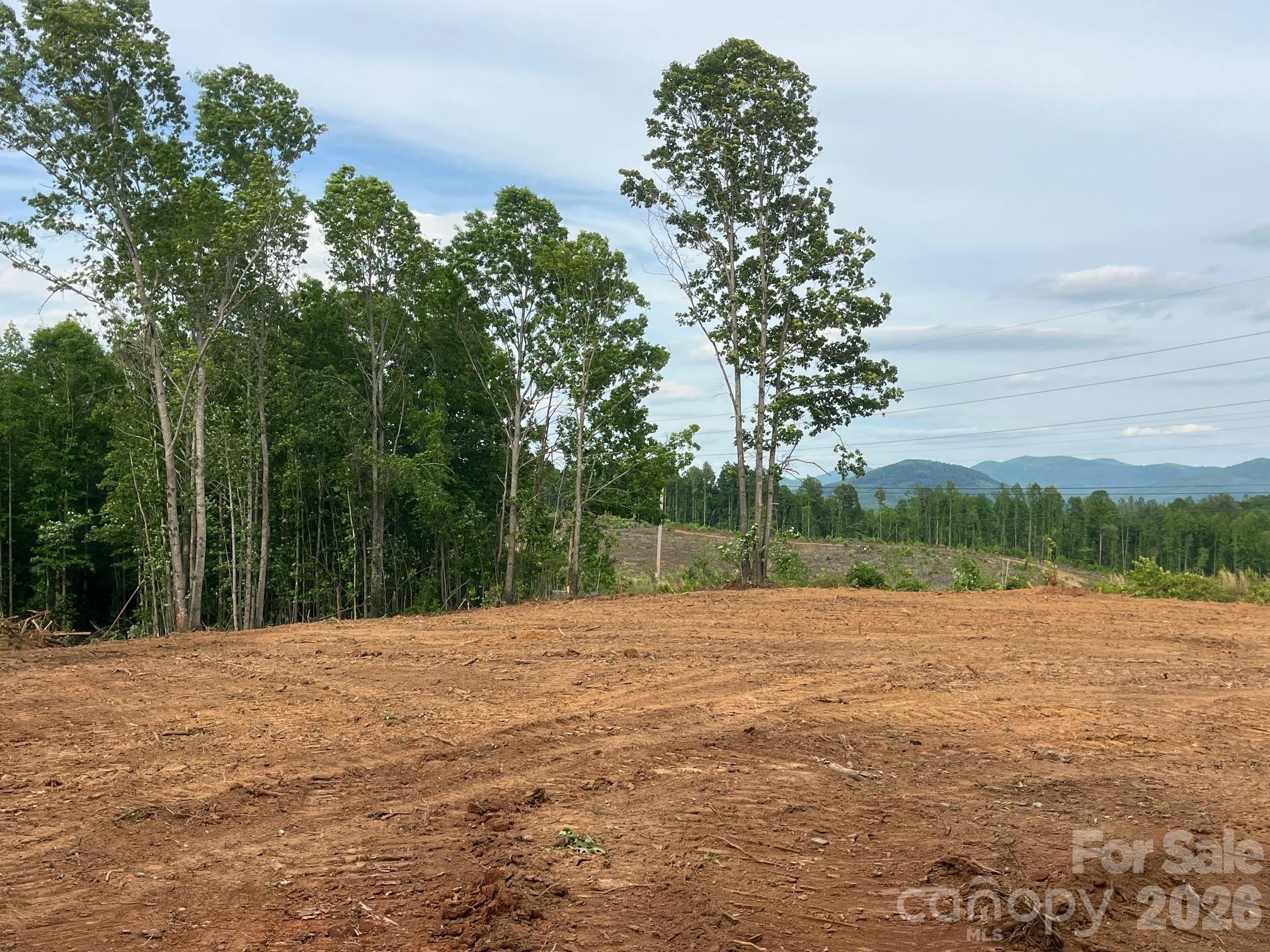 Tbd Vein Mountain Road, Unit 4 Nebo, NC 28761 - Photo 14 of 20