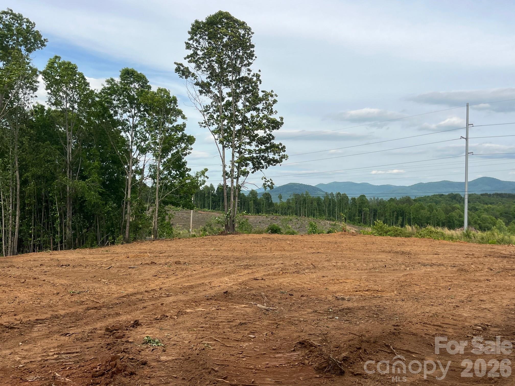 Tbd Vein Mountain Road, Unit 4 Nebo, NC 28761 - Photo 15 of 20