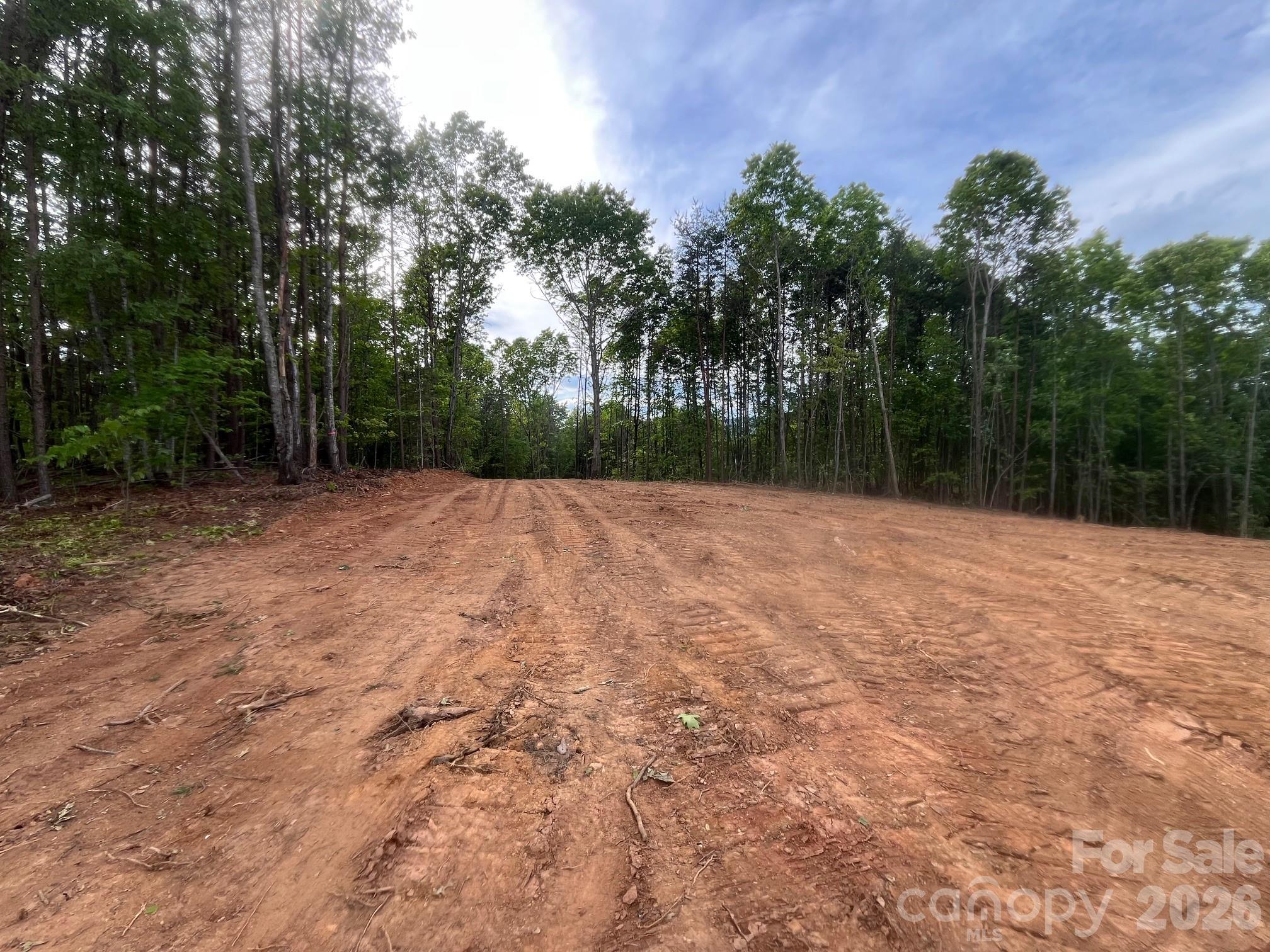 Tbd Vein Mountain Road, Unit 4 Nebo, NC 28761 - Photo 18 of 20