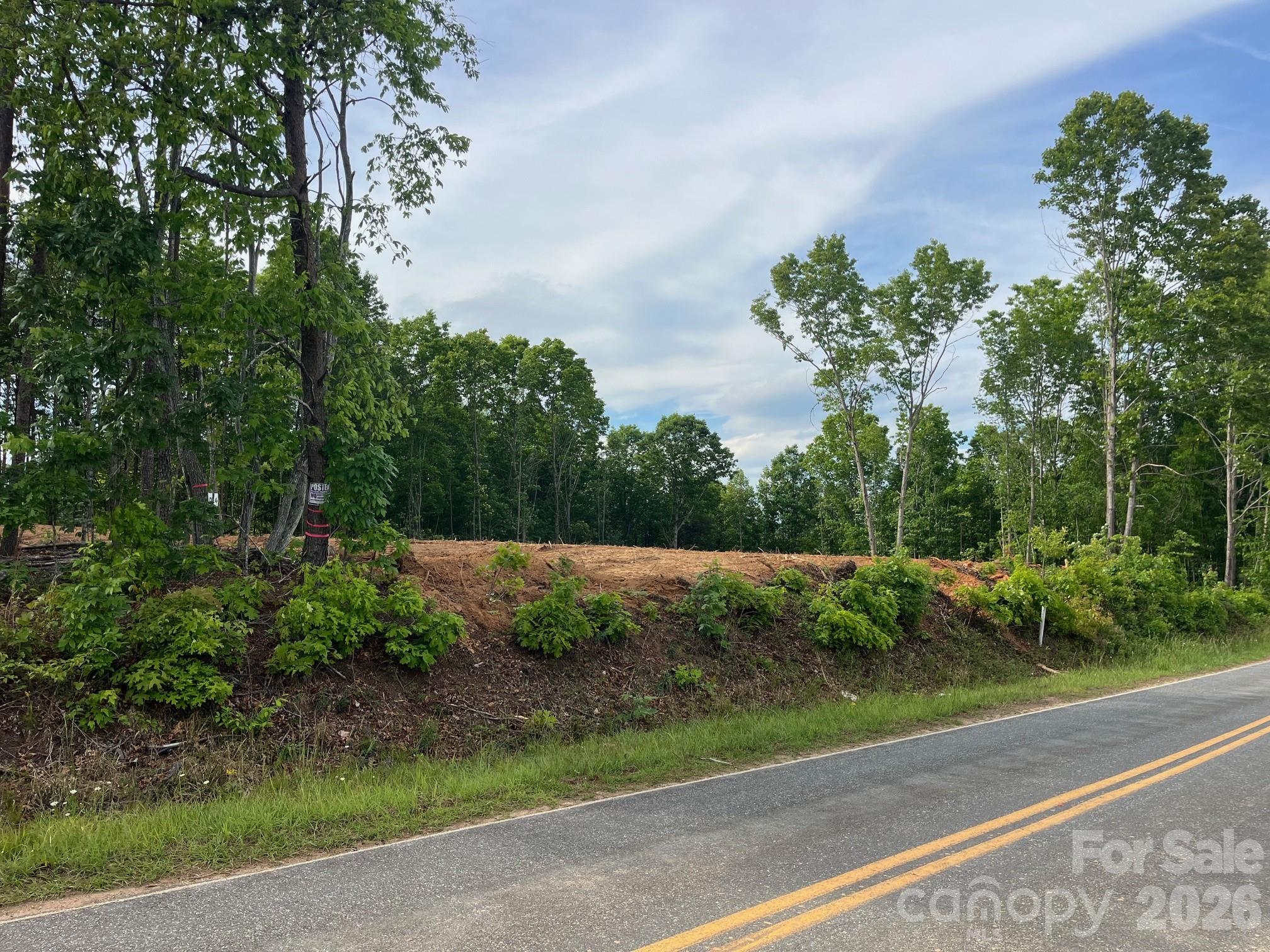 Tbd Vein Mountain Road, Unit 4 Nebo, NC 28761 - Photo 5 of 20