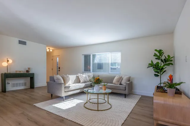 a living room with furniture or couch and a potted plant