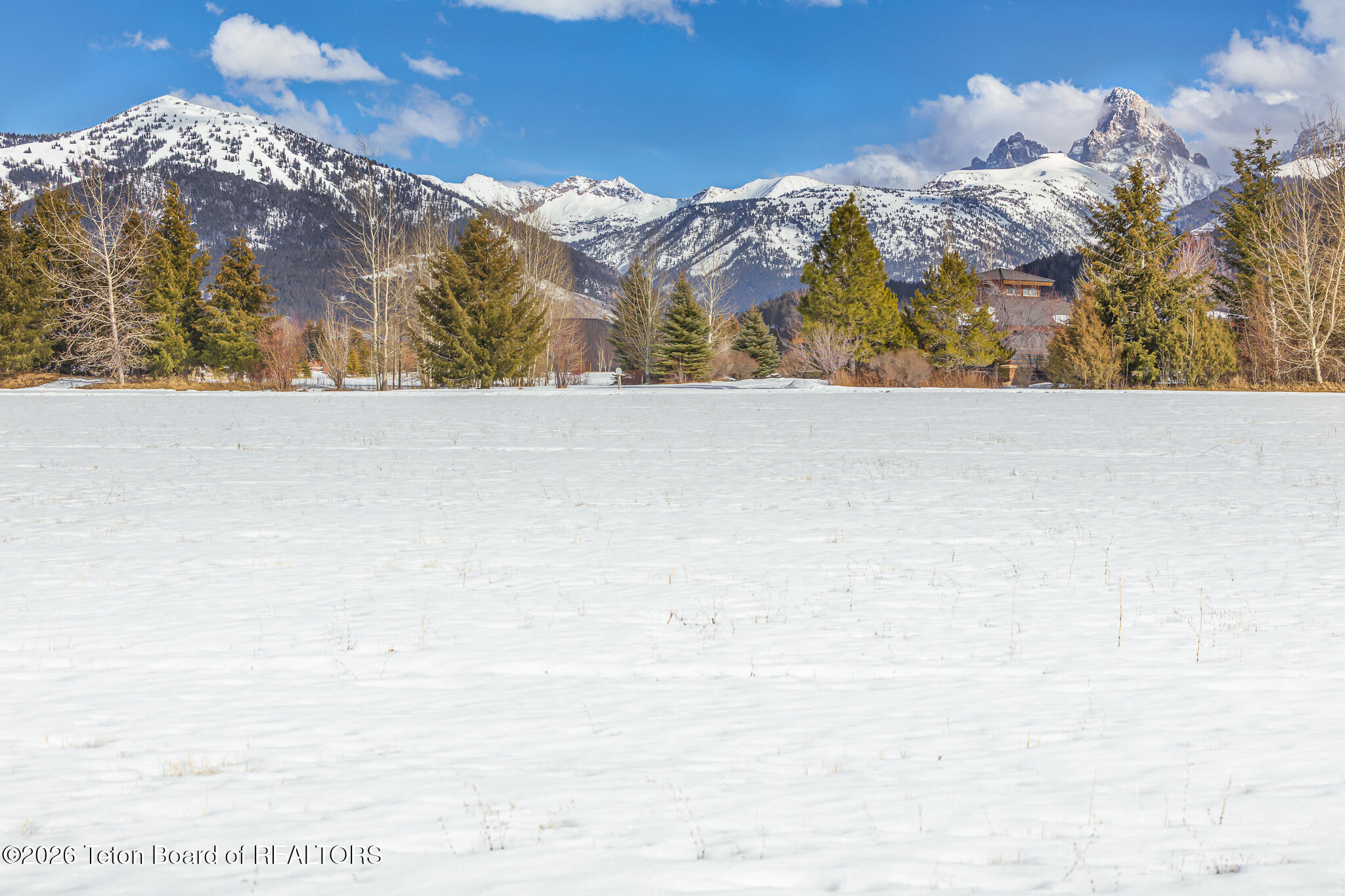 50 Altamont Road Alta, WY 83414 - Photo 13 of 16 image-13
