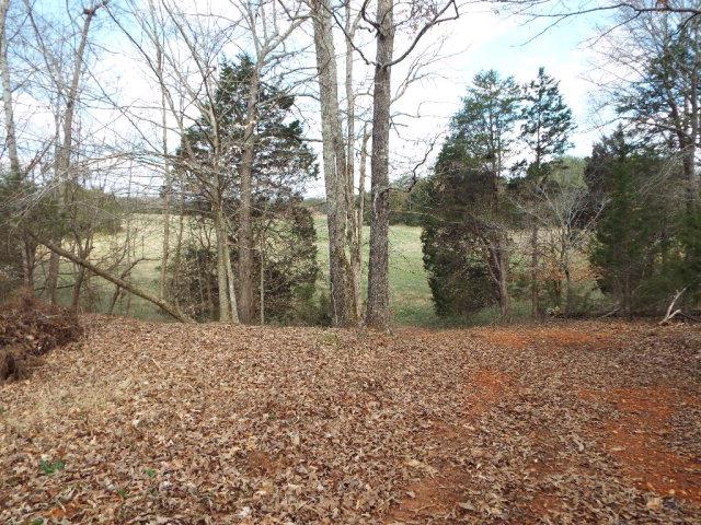28 Goodbar Road Rock Island, TN 38581 - Photo 3 of 8 Gallery Image 3