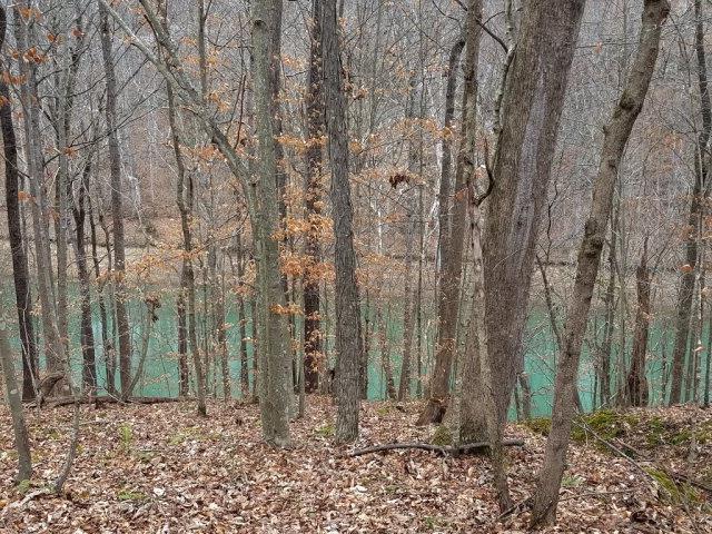 28 Goodbar Road Rock Island, TN 38581 - Photo 5 of 8 Gallery Image 5