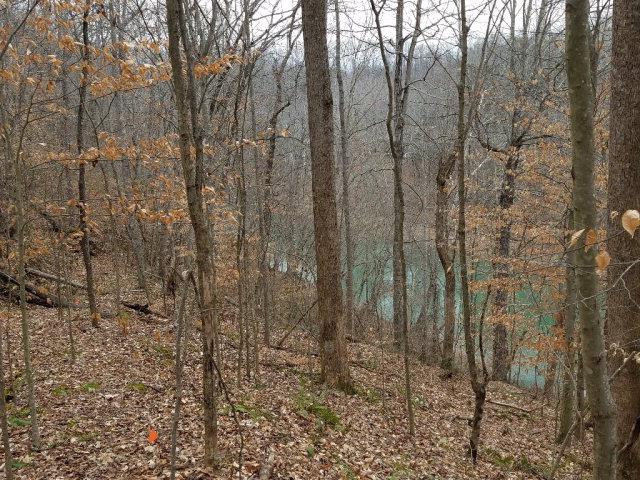 28 Goodbar Road Rock Island, TN 38581 - Photo 8 of 8 Gallery Image 8