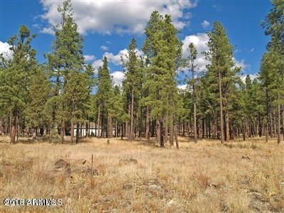 22 Lockett Ranches Flagstaff, AZ 86001 - Photo 1 of 13 Parcel 22 1