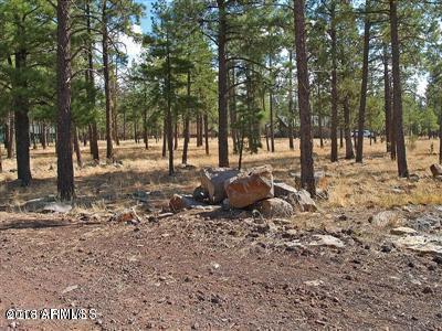 22 Lockett Ranches Flagstaff, AZ 86001 - Photo 11 of 13 Parcel 22 11