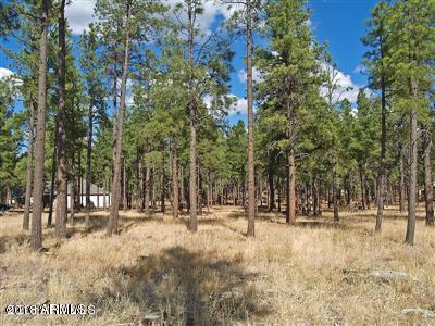 22 Lockett Ranches Flagstaff, AZ 86001 - Photo 12 of 13 Parcel 22 12